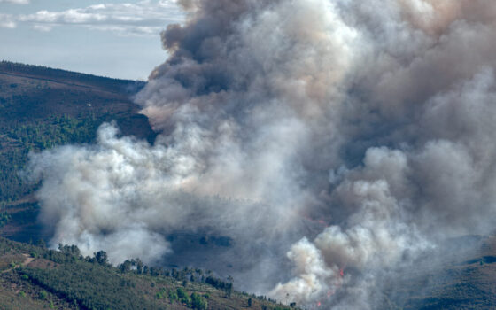 Incendi in Spagna e Francia