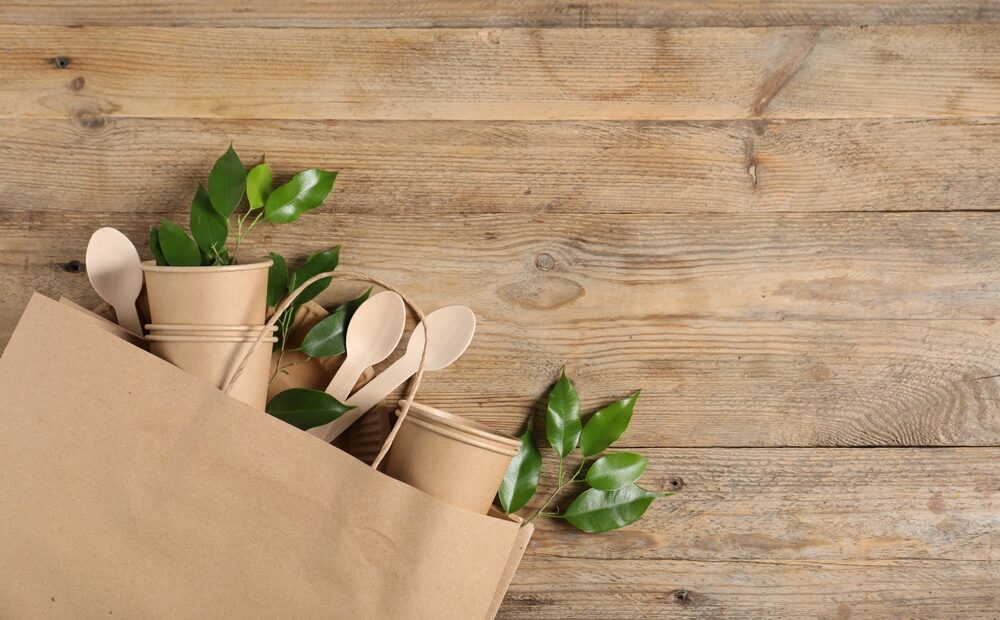 Immagine rappresentativa del packaging sostenibile
