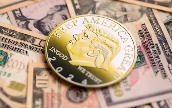 Grafico delle perdite investitori memecoin $TRUMP