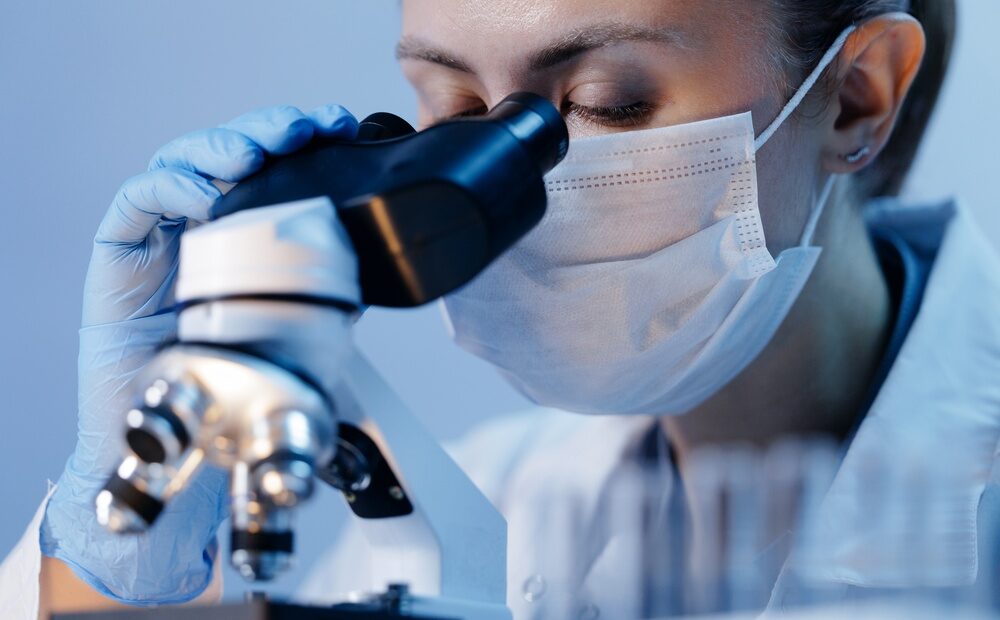 Ricercatori dell'IFOM al lavoro su cellule staminali