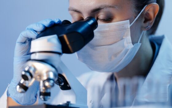 Ricercatori dell'IFOM al lavoro su cellule staminali
