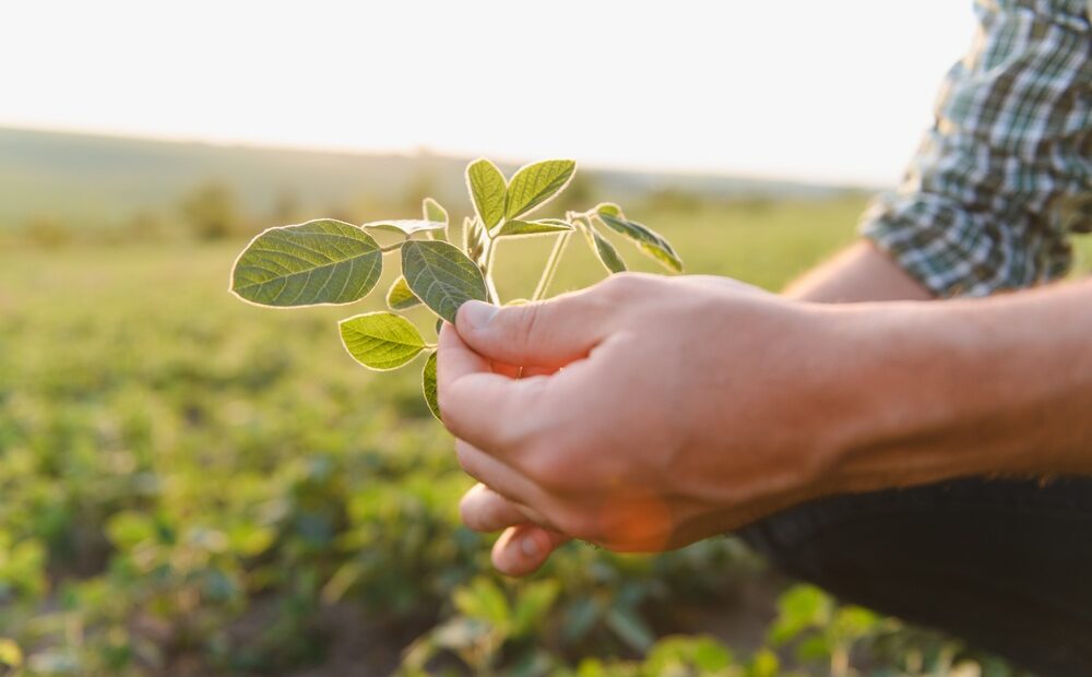 Logo di VINHOOD e immagine rappresentativa dell'innovazione nel settore alimentare.