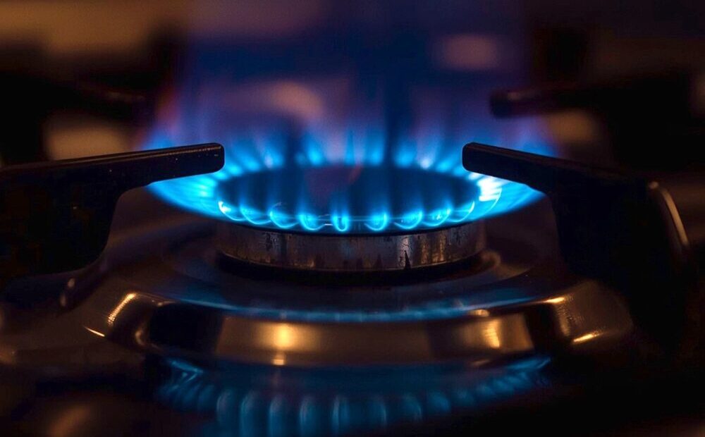 Immagine rappresentativa delle offerte di Alperia per energia elettrica e gas